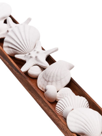 Anoq Perfumed shells ceramic diffuser Anoq Perfumed shells ceramic diffuser