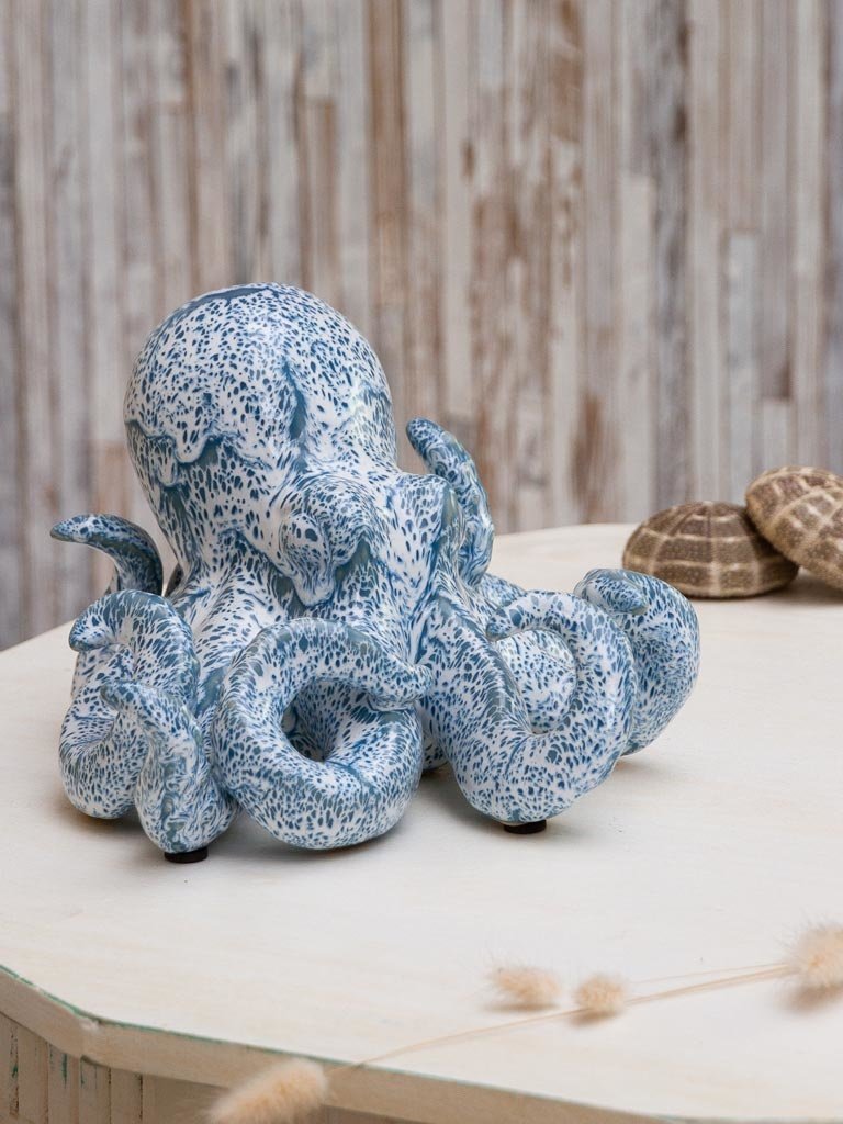 Blauw octopus beeld