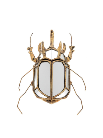 Neushoorn kever wand decoratie Neushoorn kever wand decoratie