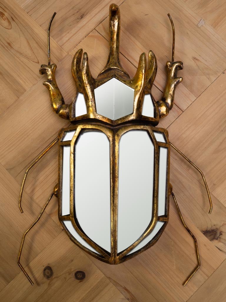 Rhinocerous beetle mirror wall decor