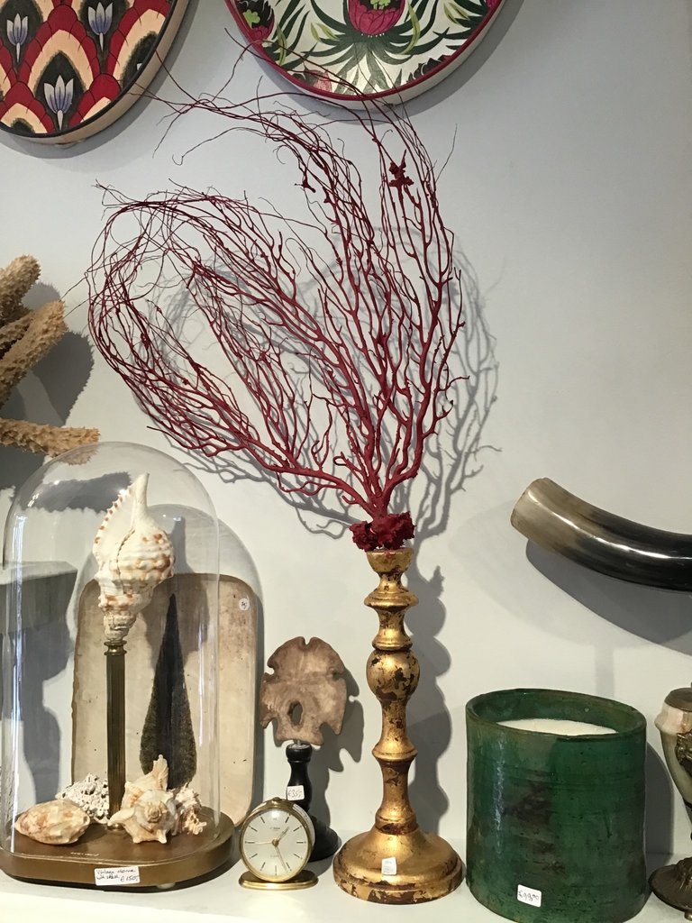 Marieke Ariëns Interior Objects Red sea fan on gilded wooden pedestal