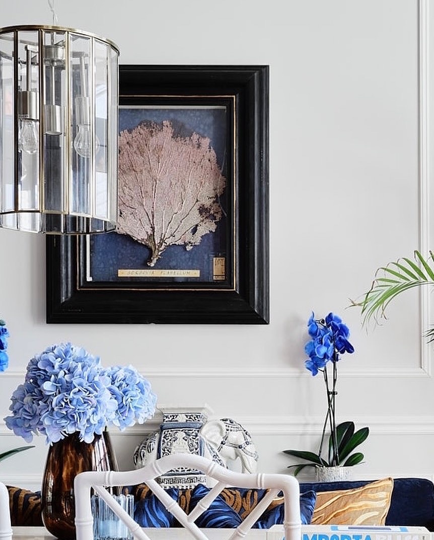 Residence magazine picture table with gorgonian sea fan in antique frame