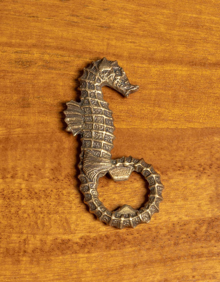 Sea horse bottle opener