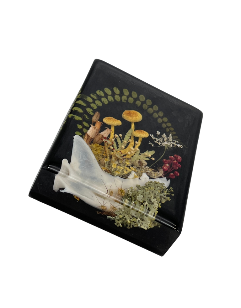 There better be flowers Herbarium met marterbot in kunsthars