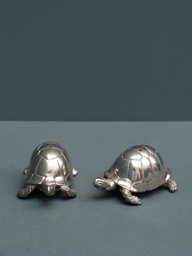 Salt en Pepper shaker set  - Turtle