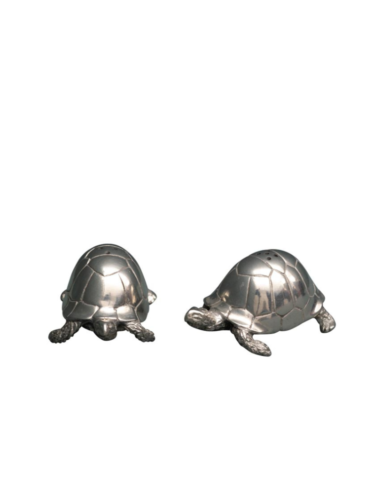 Salt en Pepper shaker set  - Turtle