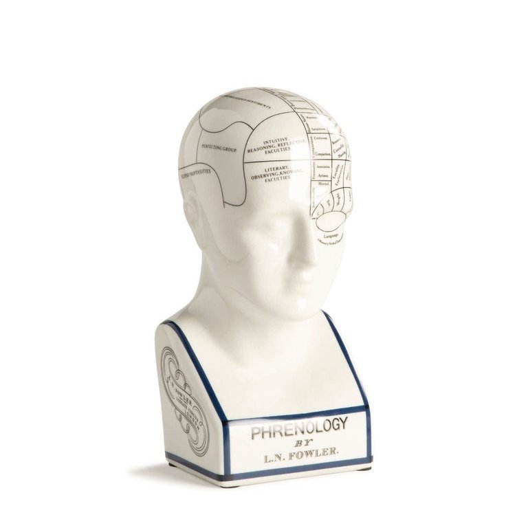 Authentic Models Phrenology Head - Porcelain model