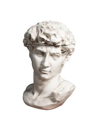 Head box - David Head box - David