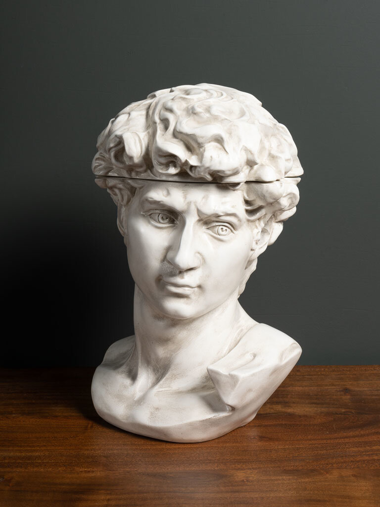 Head box - David made of resin