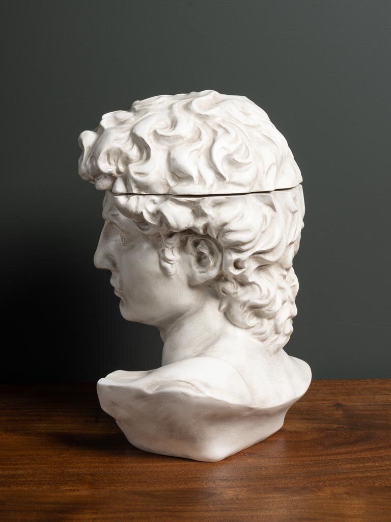 Head box - David made of resin