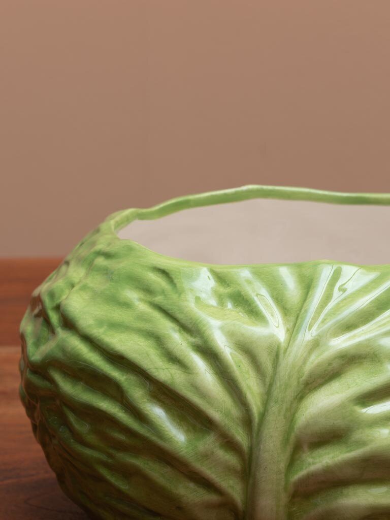 Cabbage salad bowl