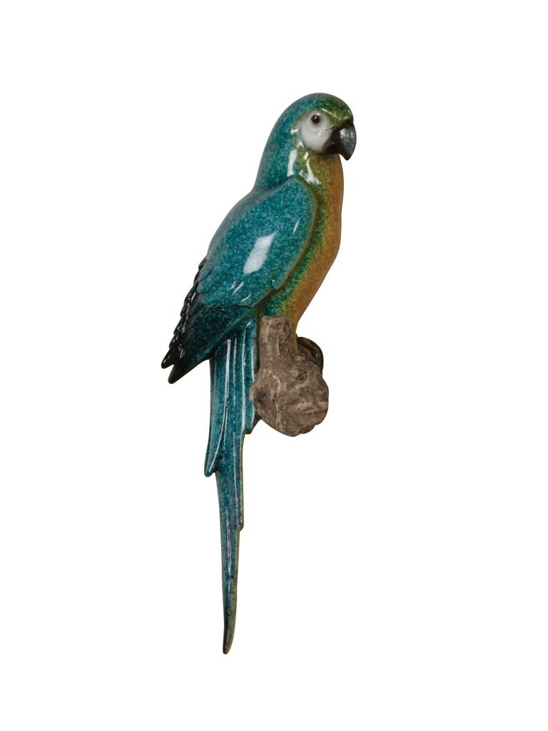 Wall parrot on branch