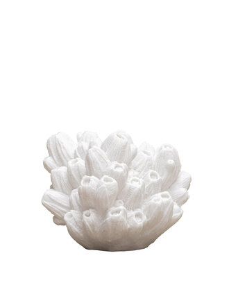 Arbuscular coral lamp Arbuscular coral lamp