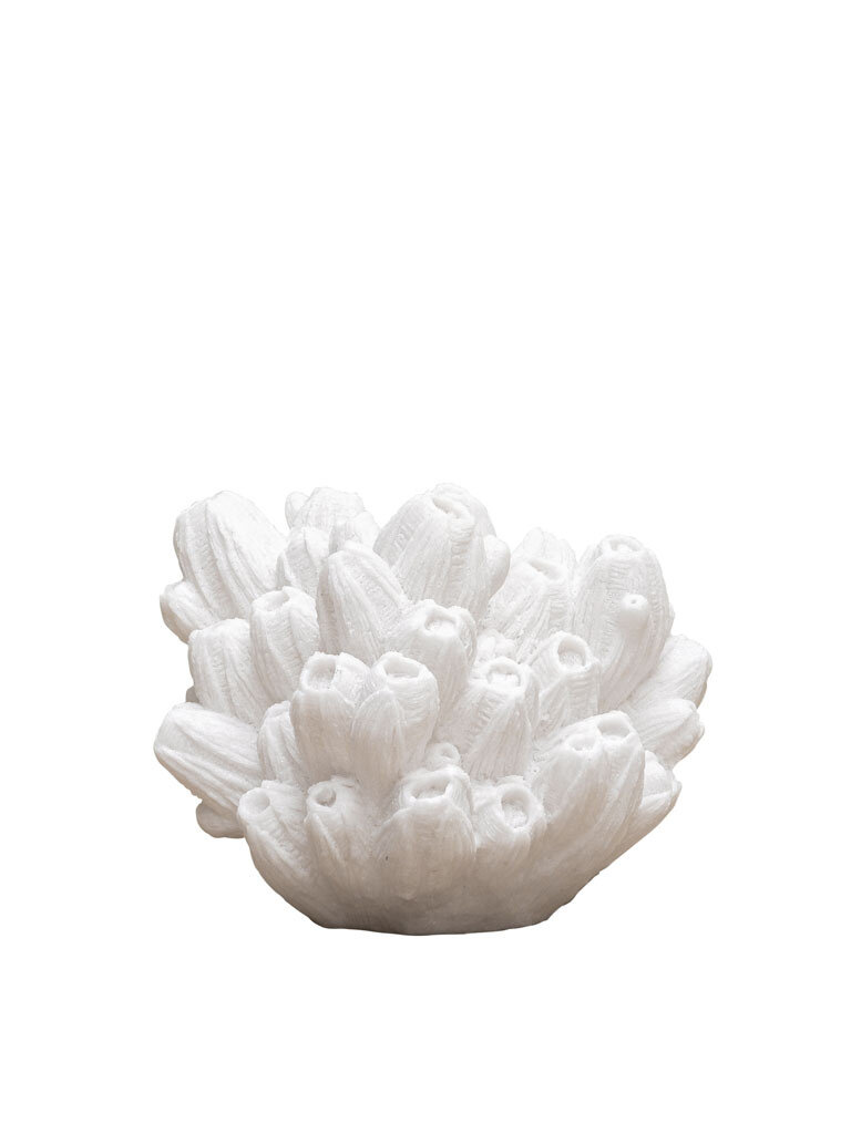 Arbuskel Koraal lamp