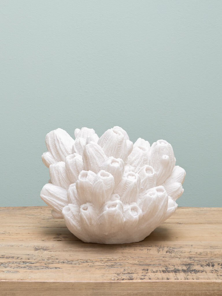 Arbuscular coral lamp