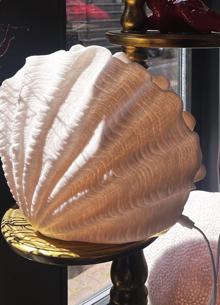 Staande schelp lamp