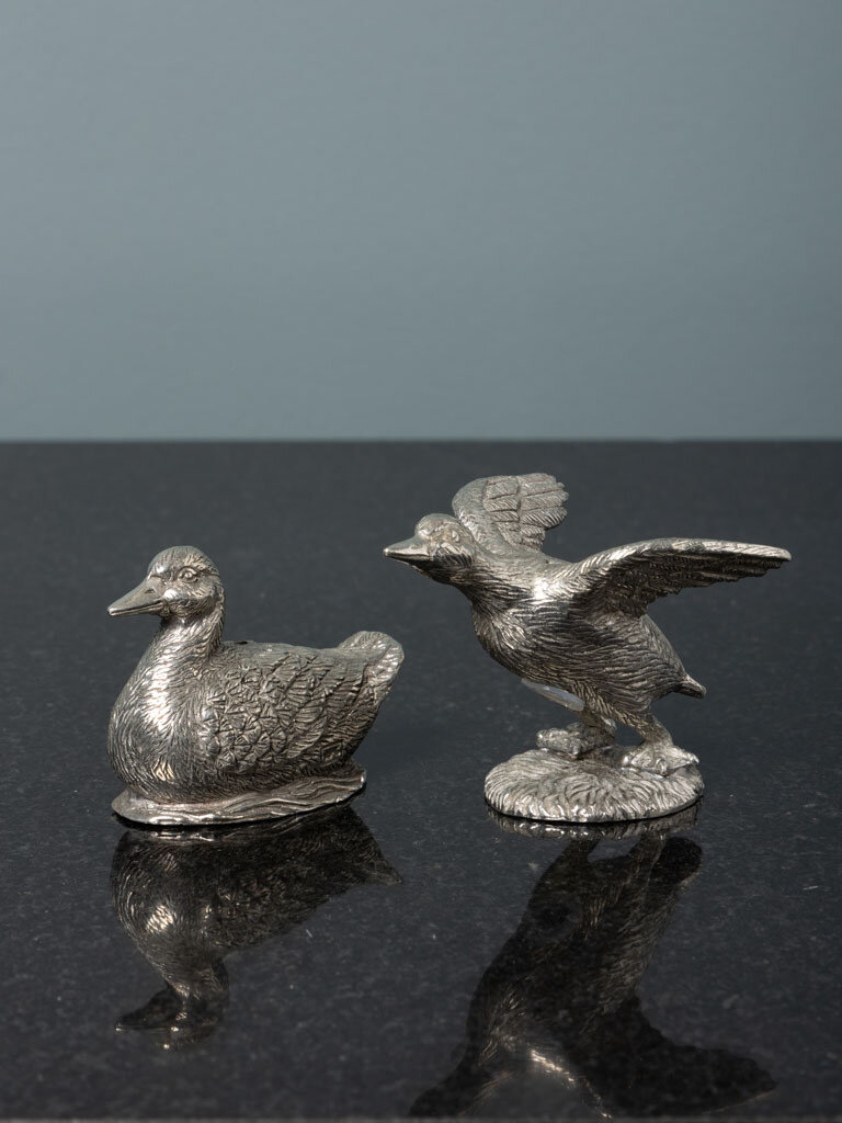 Duck salt & pepper shakers