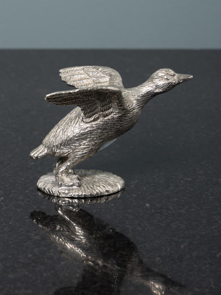 Duck salt & pepper shakers
