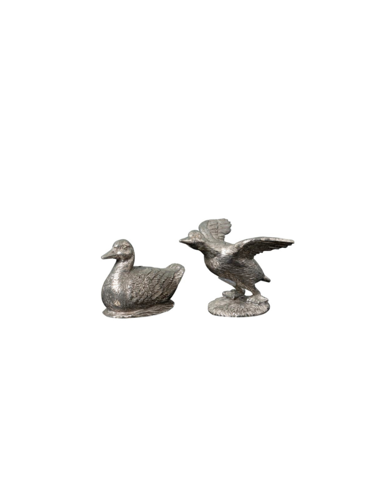 Duck salt & pepper shakers