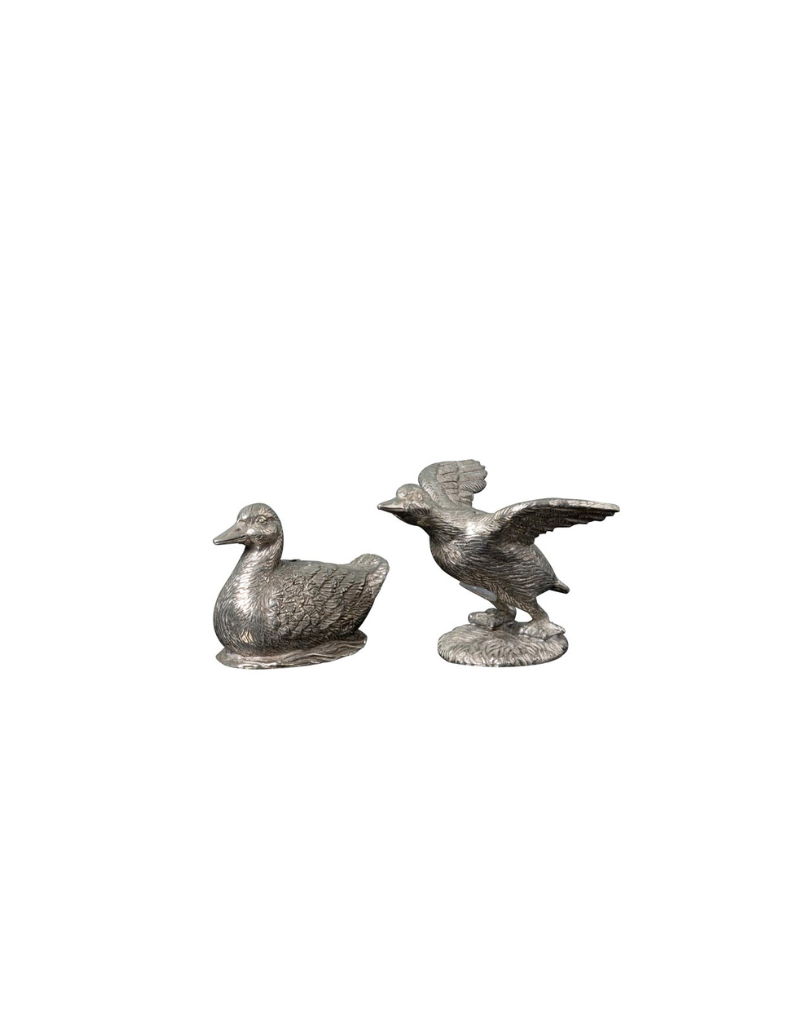 Duck salt pepper shakers