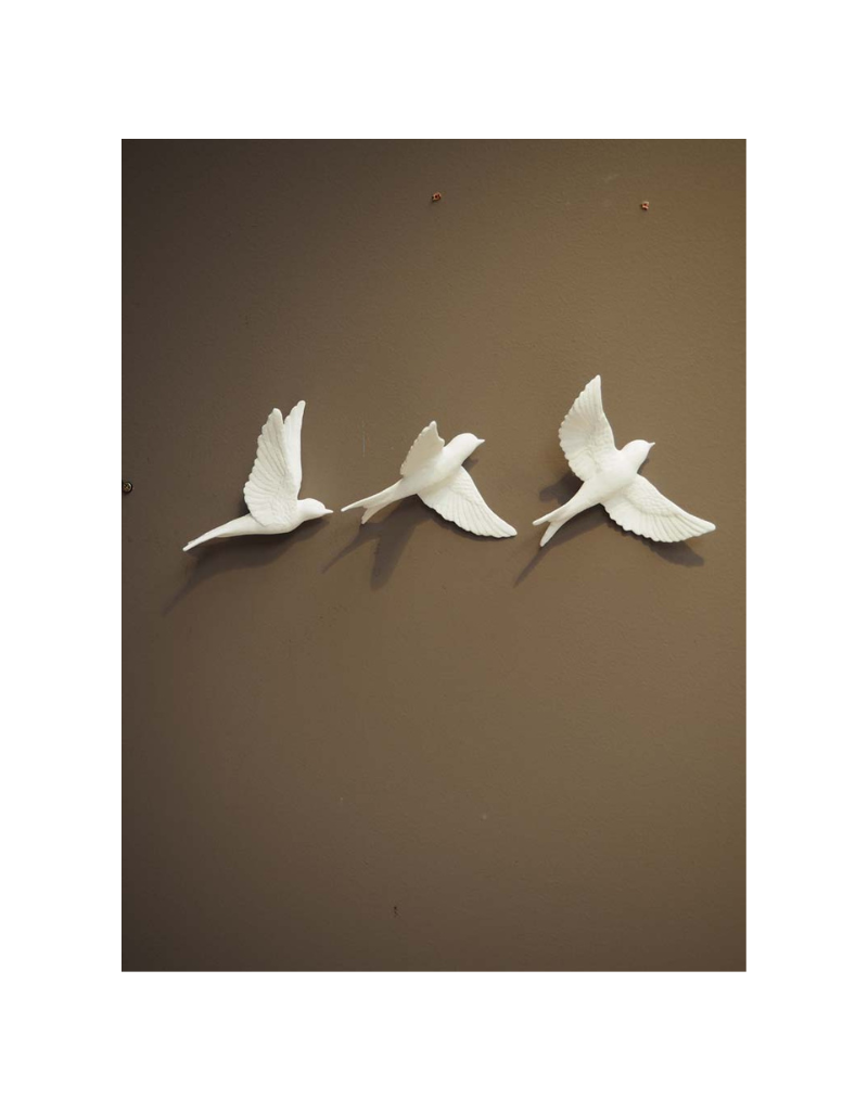 Set of three wall birds - Curiosa Cabinet
