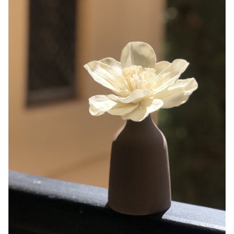 Anoq Perfume diffuser Mana