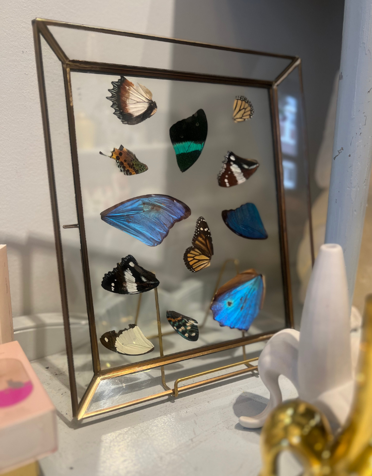 Glass frame and tray