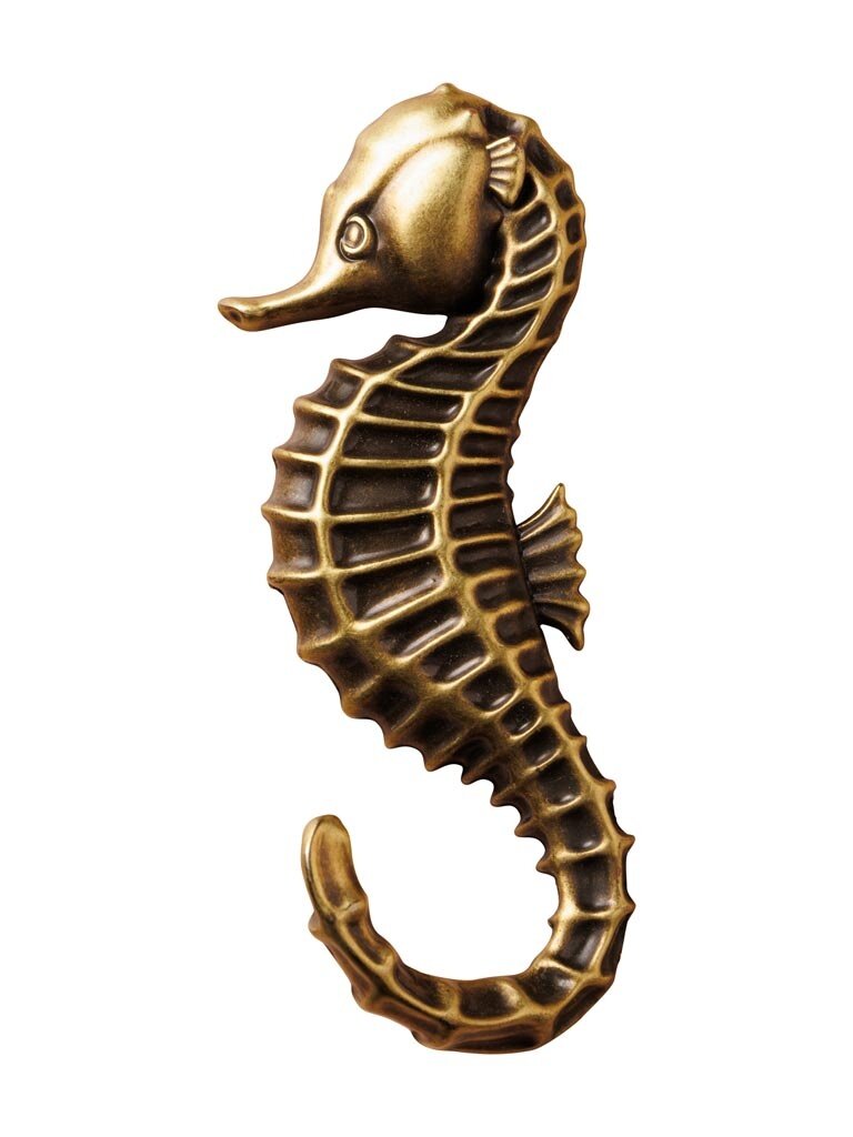 Metal Sea horse Wall hook
