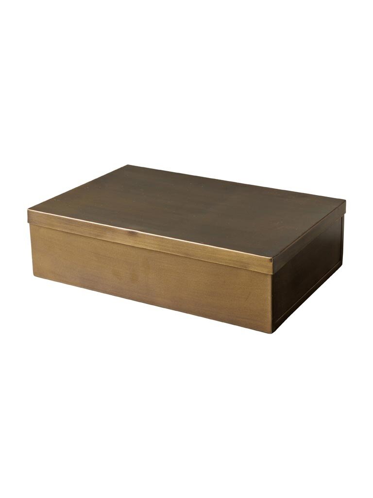 Grote rechthoekige doos met bronzen patina