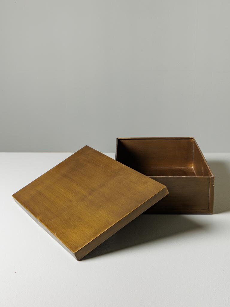 Large rectangular box with bronze patina
