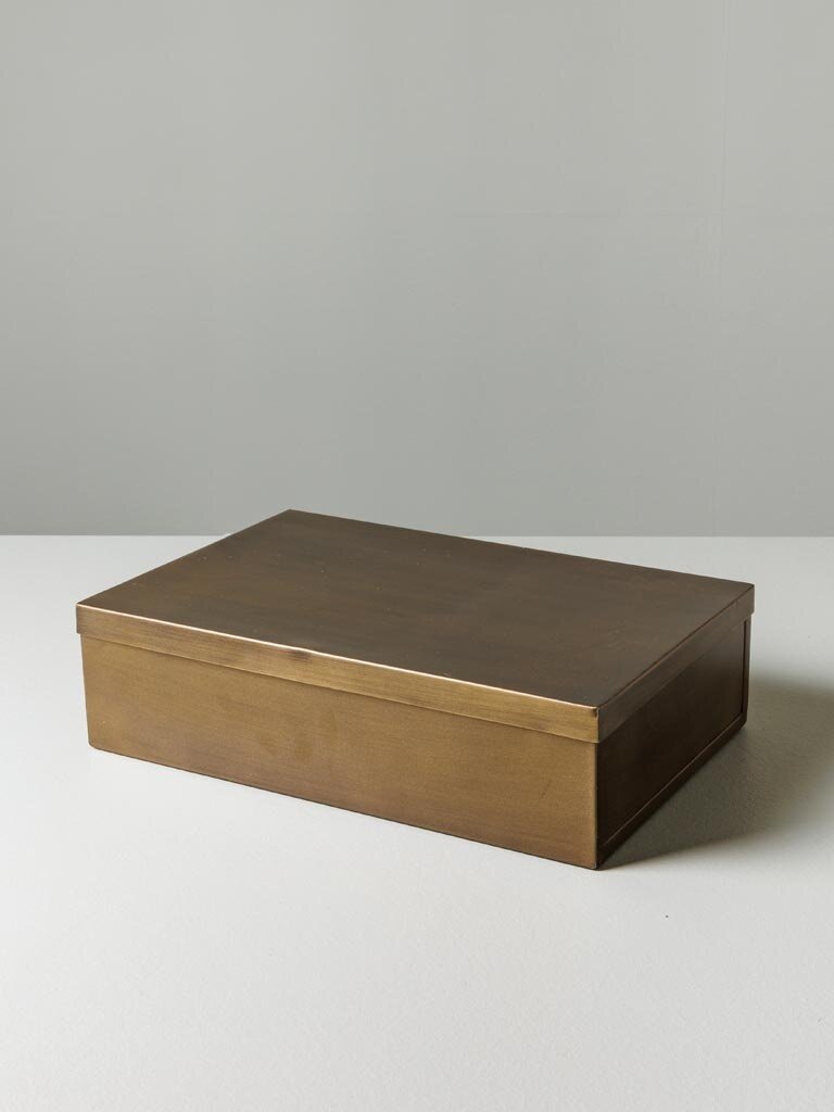 Large rectangular box with bronze patina