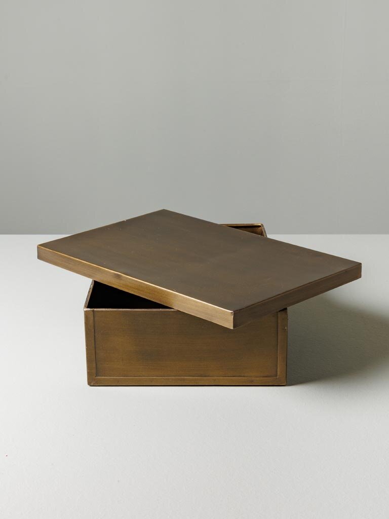 Large rectangular box with bronze patina