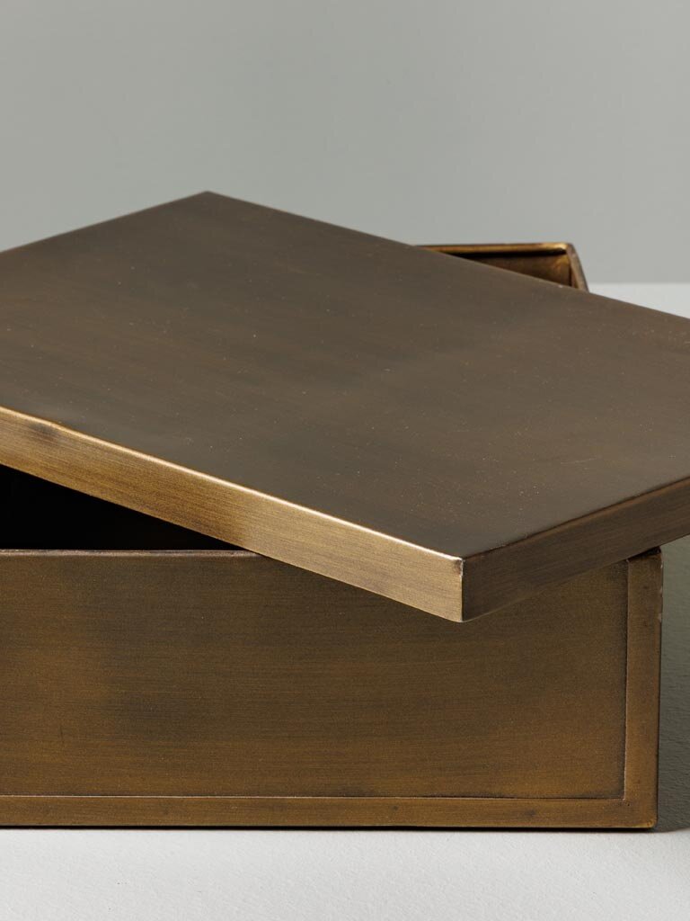 Large rectangular box with bronze patina