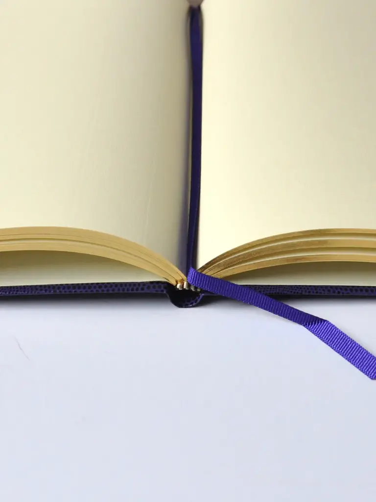 Sloane Stationery Pocket note book Organised Chaos