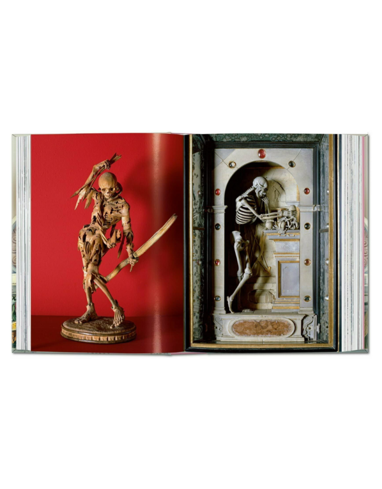 Book - Massimo Listri. Cabinet of Curiosities