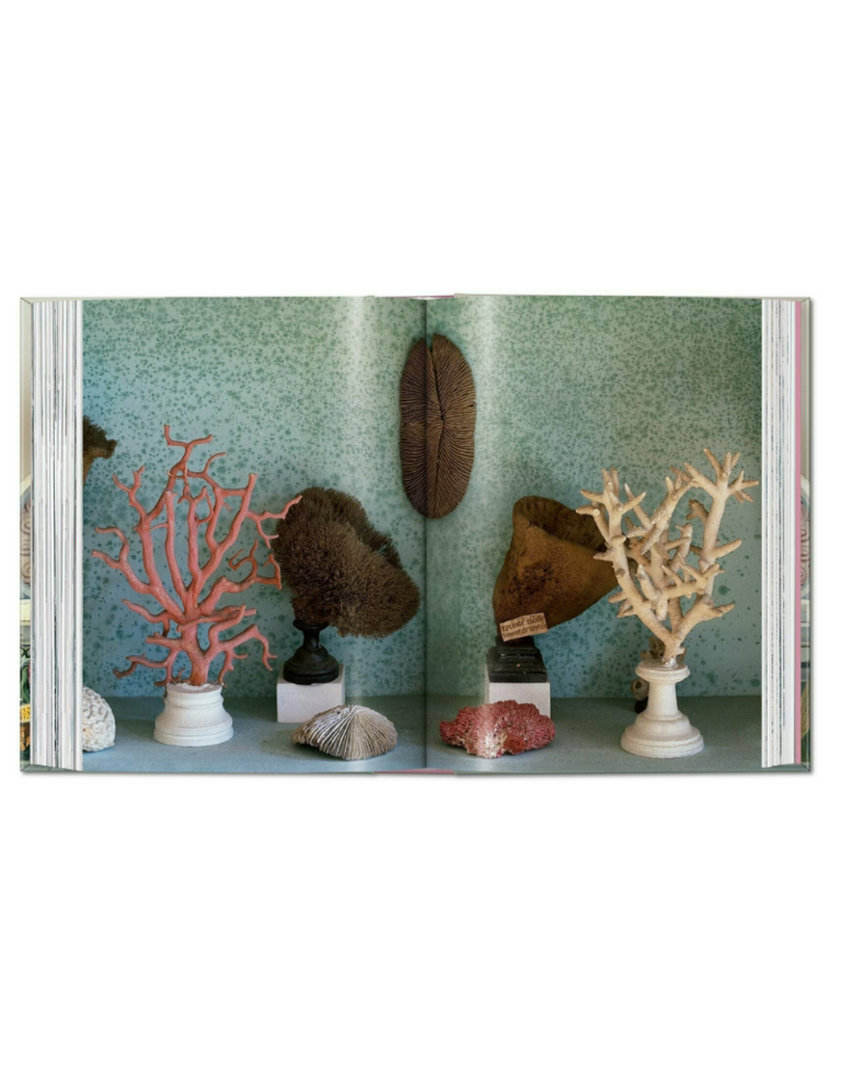 Book - Massimo Listri. Cabinet of Curiosities