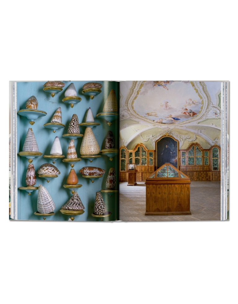 Massimo Listri. Cabinet of Curiosities, 40th ed.