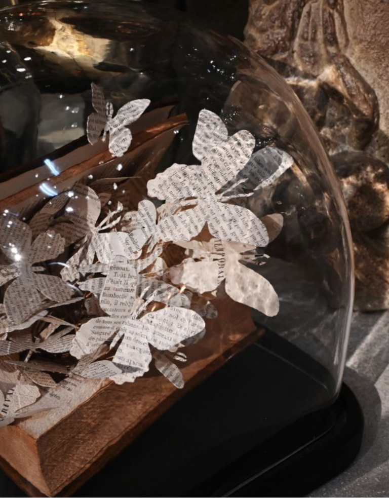 Ateliers Davoy The Great Escape - Butterflies book