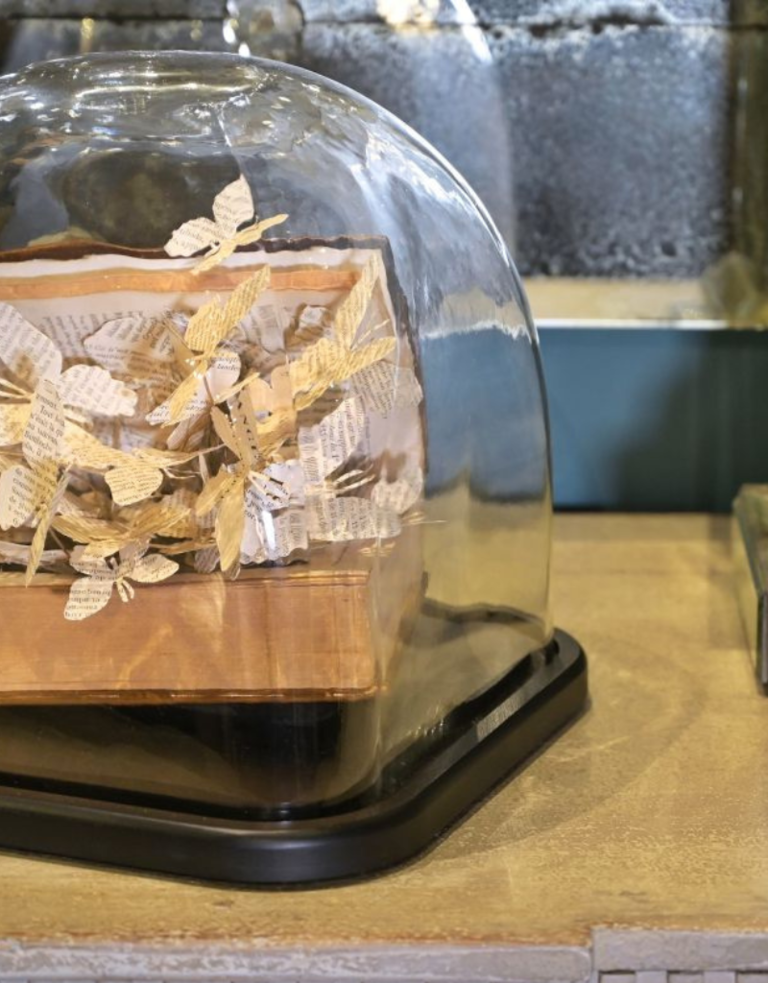 Ateliers Davoy The Great Escape - Butterflies book