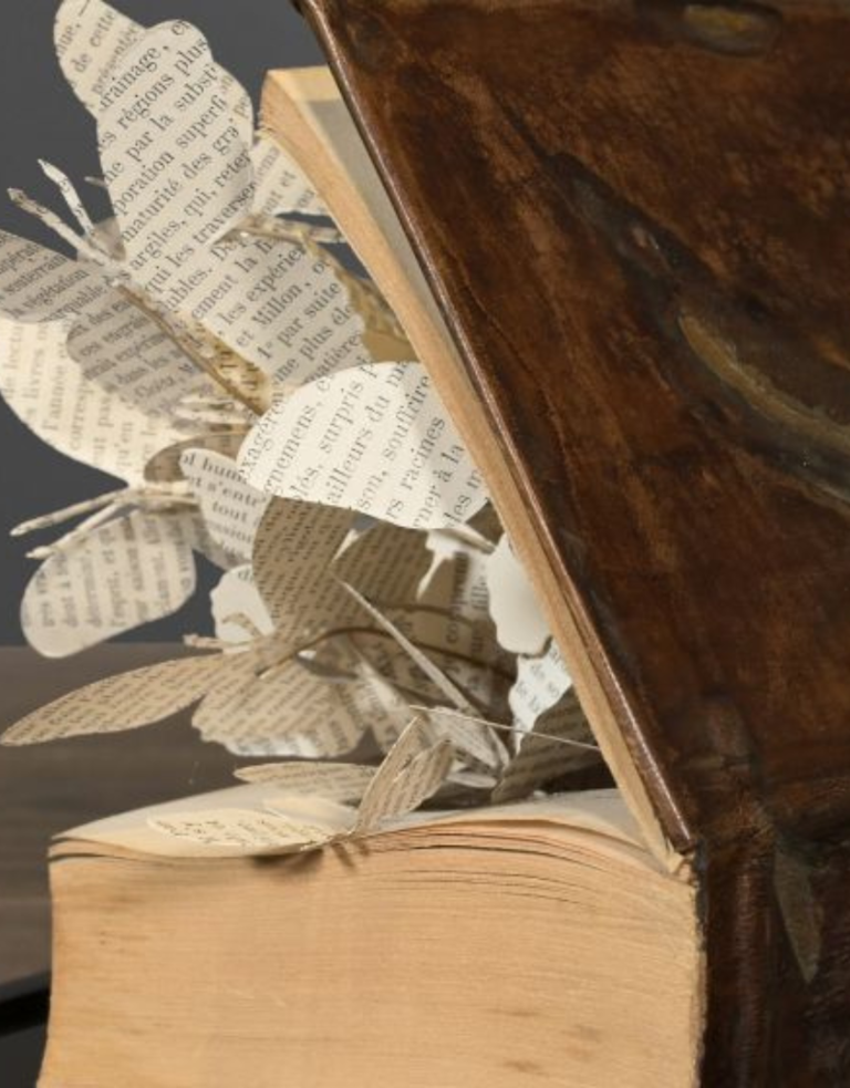 Ateliers Davoy The Great Escape - Butterflies book