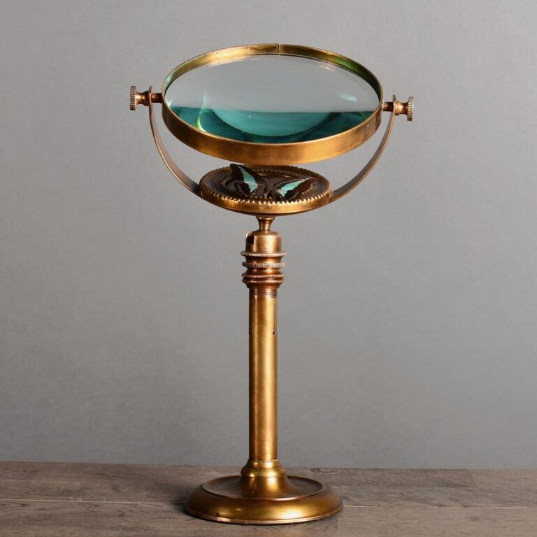 Ateliers Davoy Het vergrootglas van de entomoloog