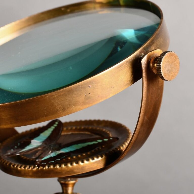 Ateliers Davoy Het vergrootglas van de entomoloog