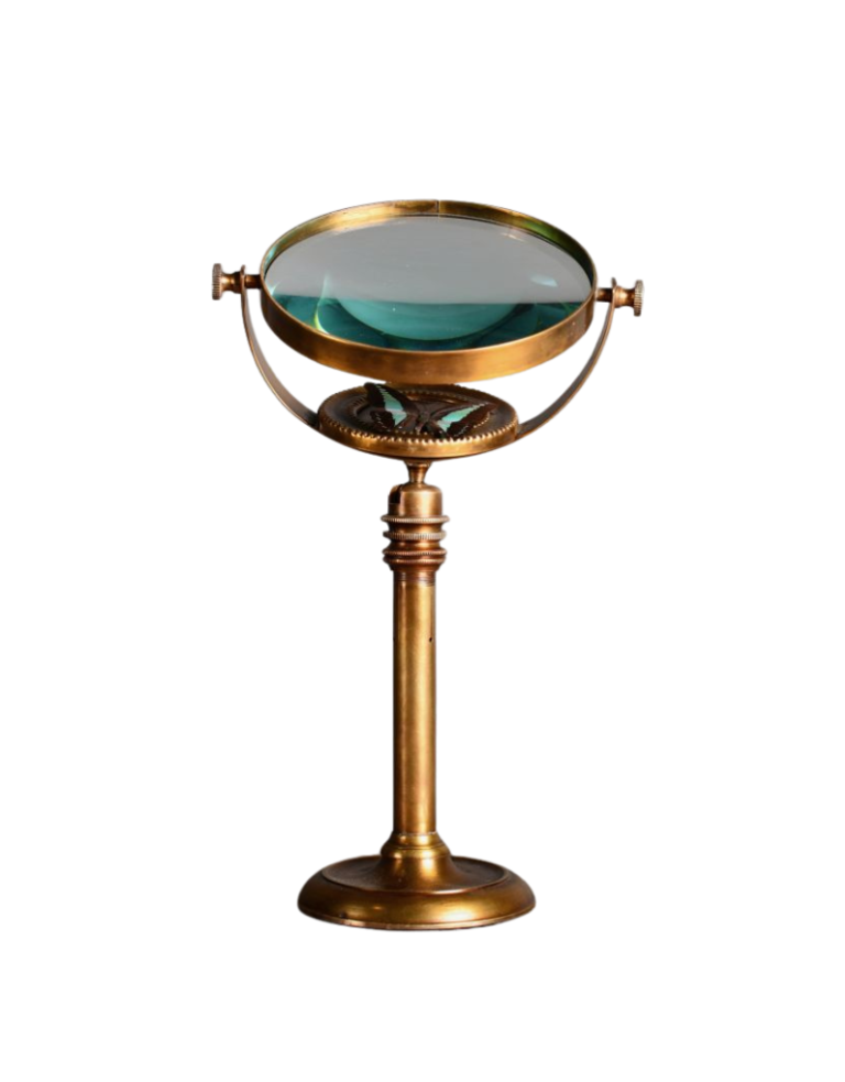 Ateliers Davoy Het vergrootglas van de entomoloog