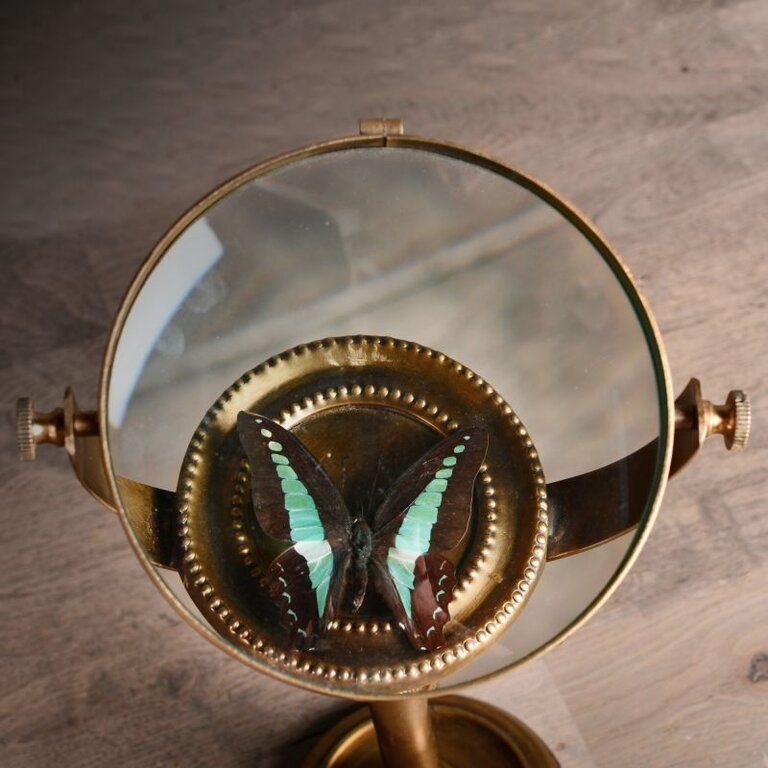 Ateliers Davoy Entomologist's Magnifying Glass