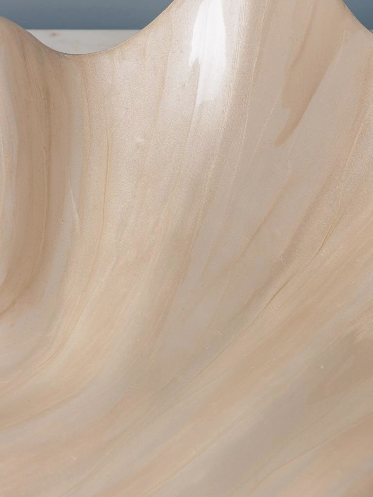 Grote schelpvormige kom