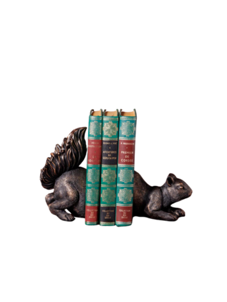 Squirrel on the lookout - set of bookends Squirrel on the lookout - set of bookends