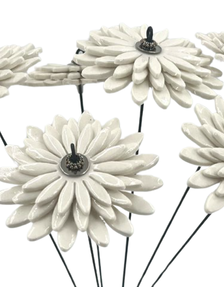 Alex Hackett Porseleine bloem - Driedubbele Madelief