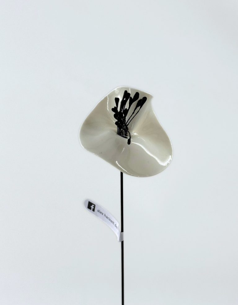 Alex Hackett Porseleinen Bloem – Meeldraden