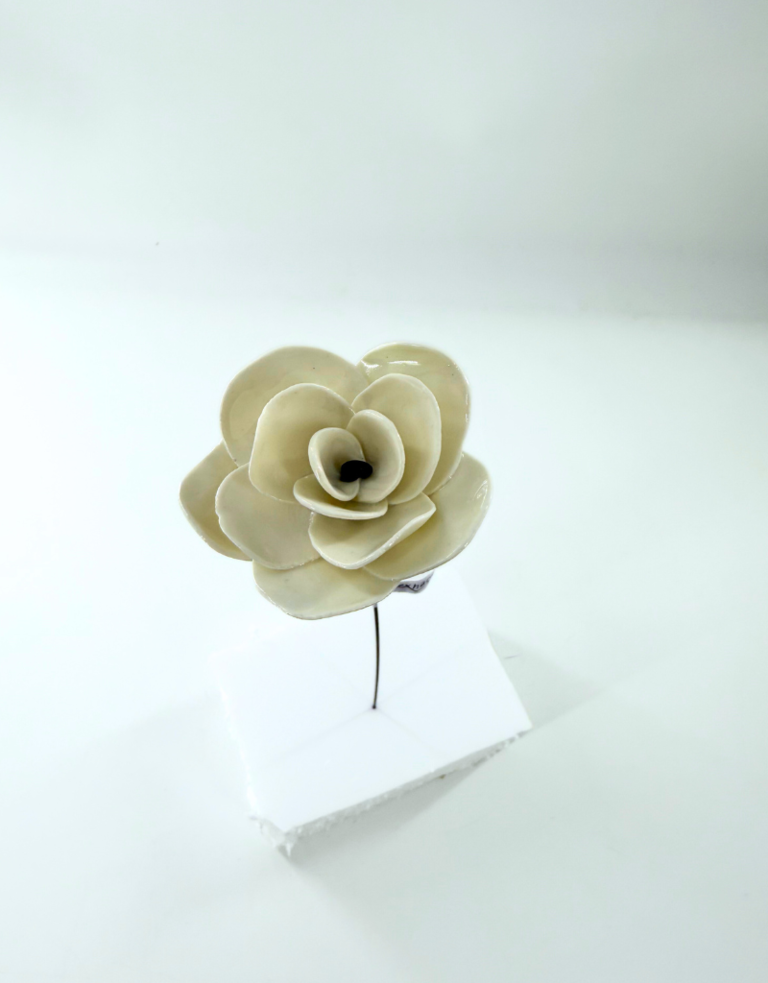 Alex Hackett Porseleinen Bloem – Camelia