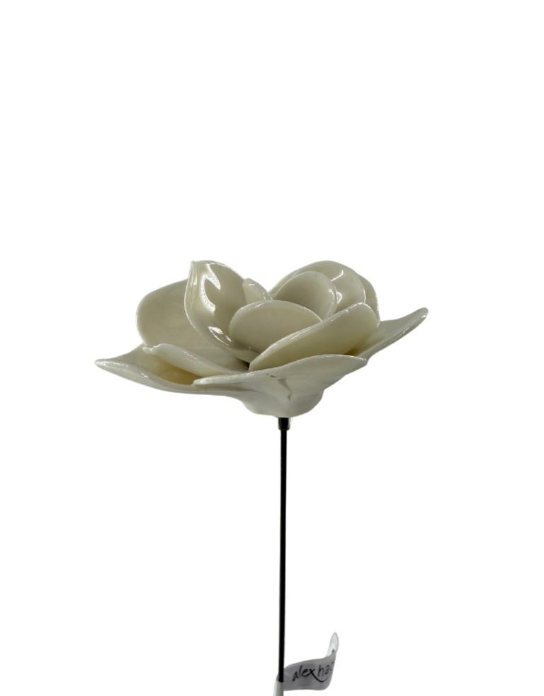 Alex Hackett Porseleinen Bloem – Camelia